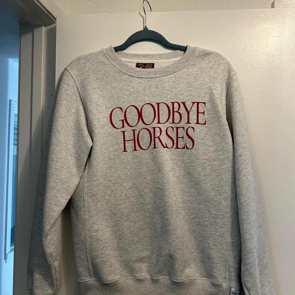 Gray Praying Goodbye Horses Sweater